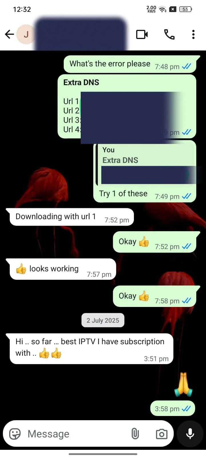 Untitled design (13)